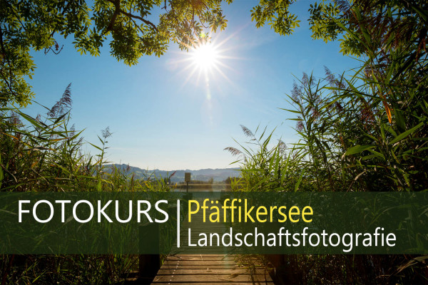 Foto-Praxiskurs am Pfäffikersee