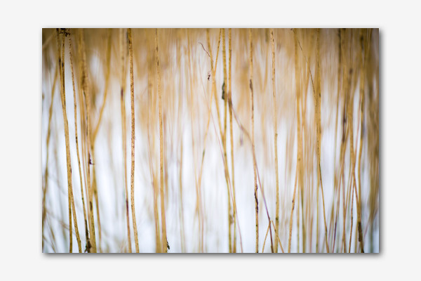 Winterimpressionen 3