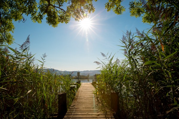 Postkarte "Sonnensteg"