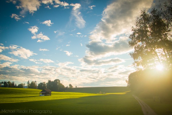 Postkarte "Abendlicht"