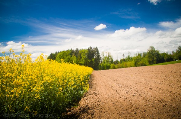 Postkarte "Zeit zu sähen"
