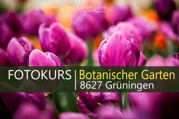 Botanischer Garten Grüningen